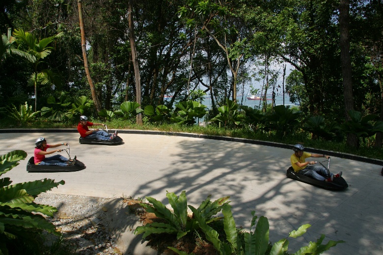 36.jpg 36.jpg